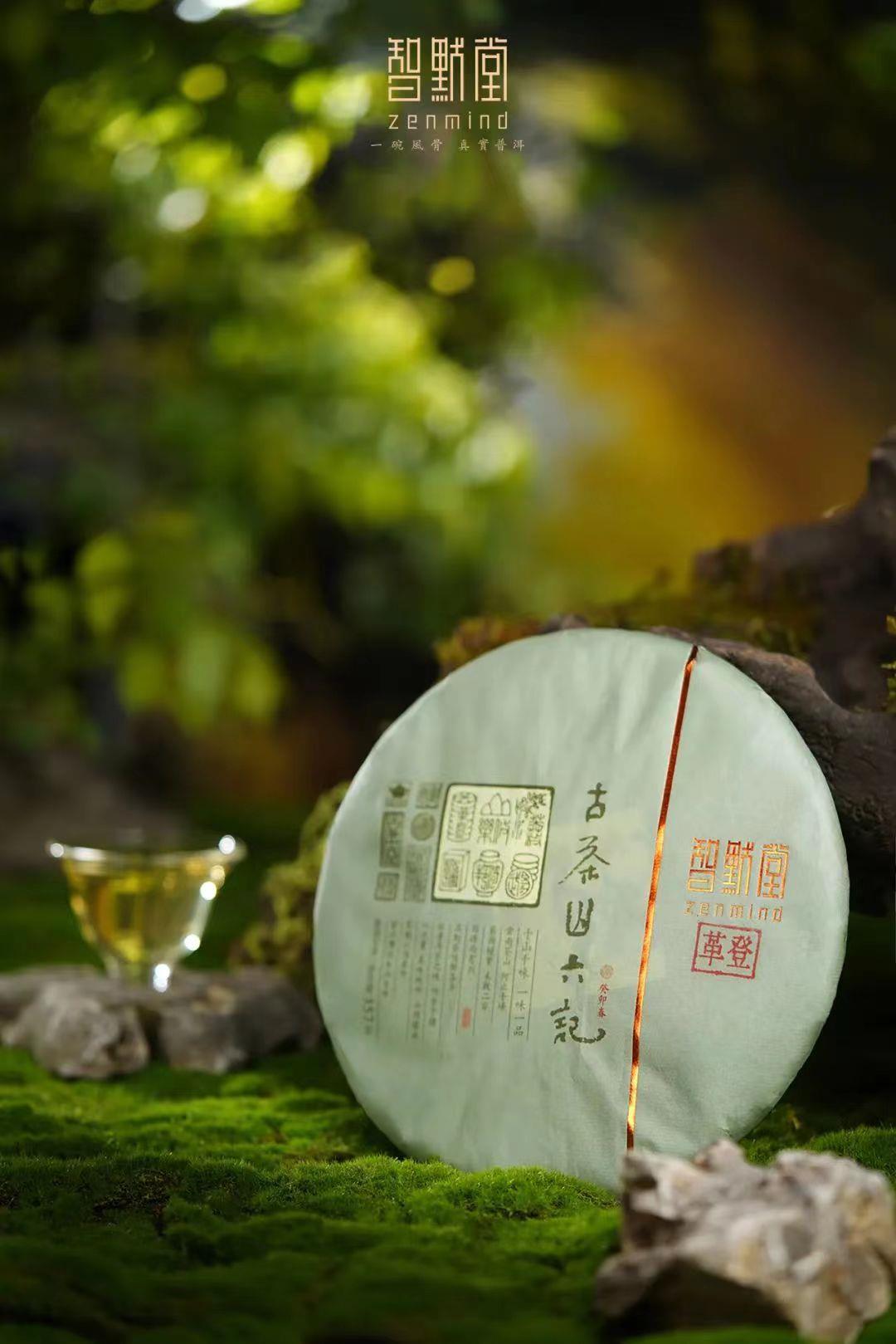 时间深处的甜——2023智默·古茶山六记·革登