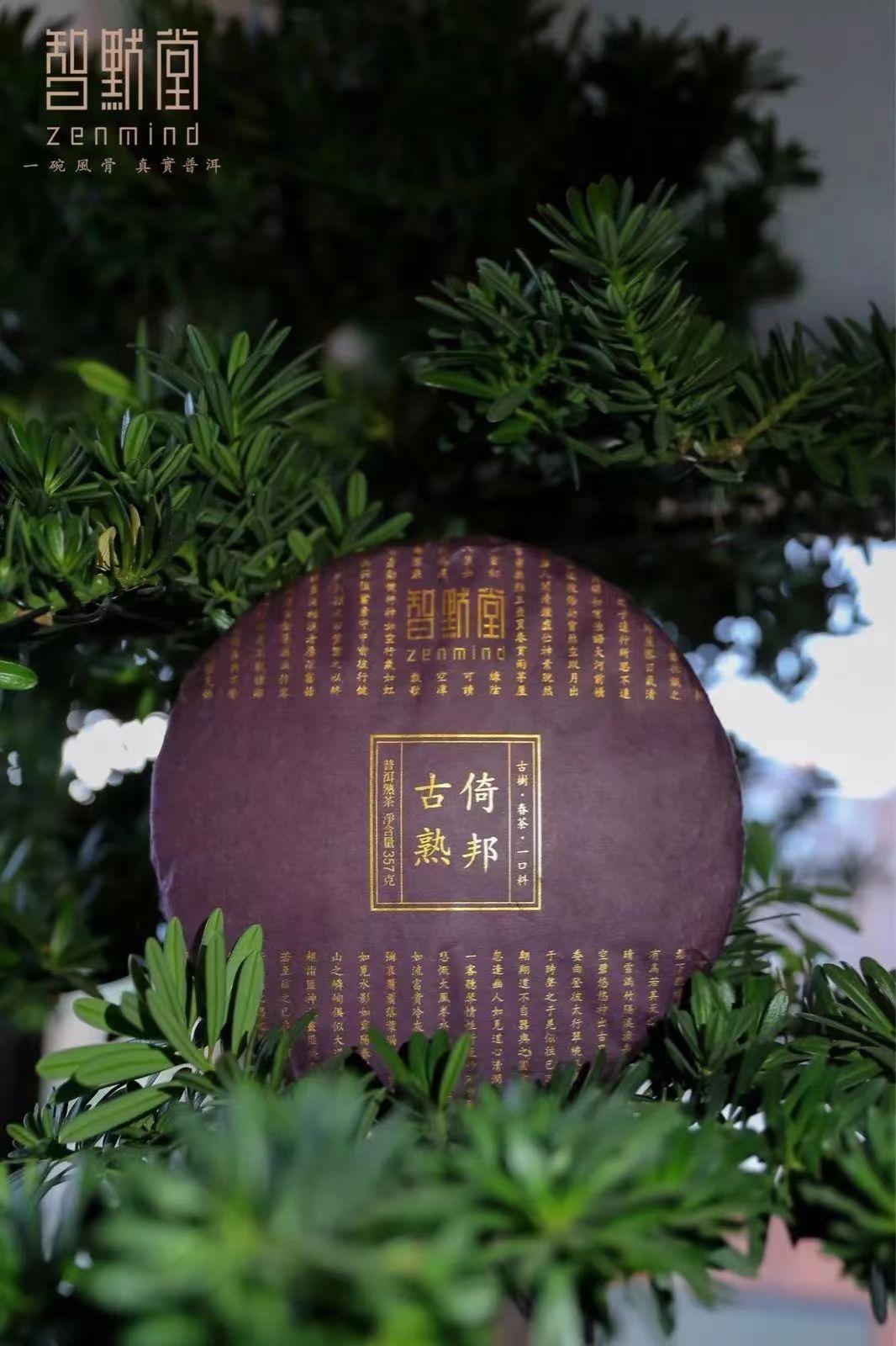 倚邦古熟，金先生内心的盛宴