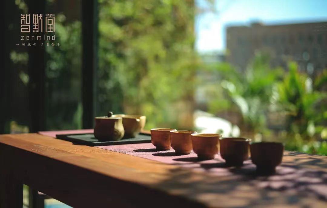 茶友投稿|迎接每一缕春风茶气
