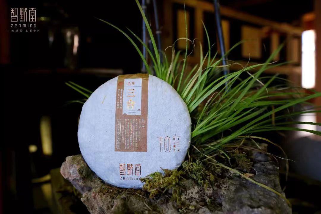 拾年·三合——古树发酵，入喉不忘