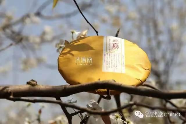 经年同醉流霞