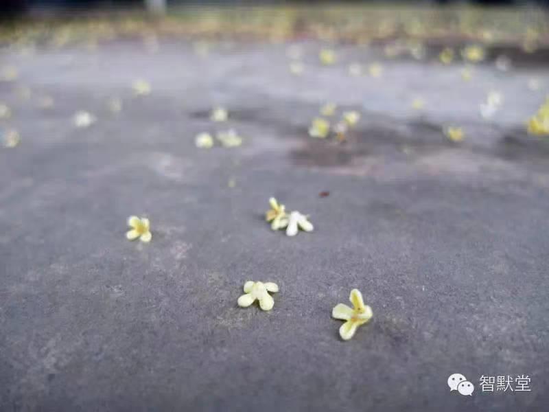 趁雨歇，只求虚度光阴
