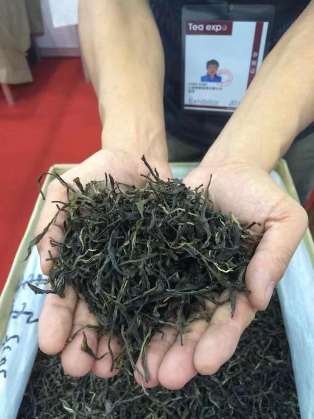 广州茶博会——智默堂携茶会友