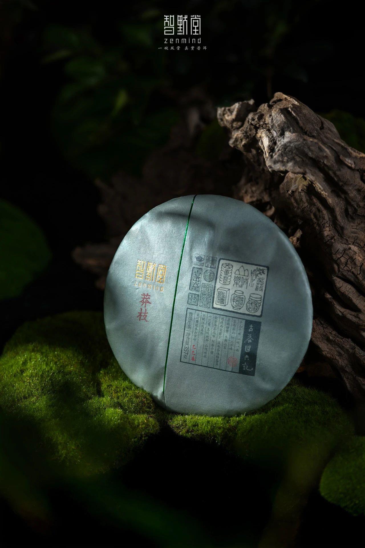 香甜并举，幽兰入梦——2025春智默·古茶山六记·莽枝